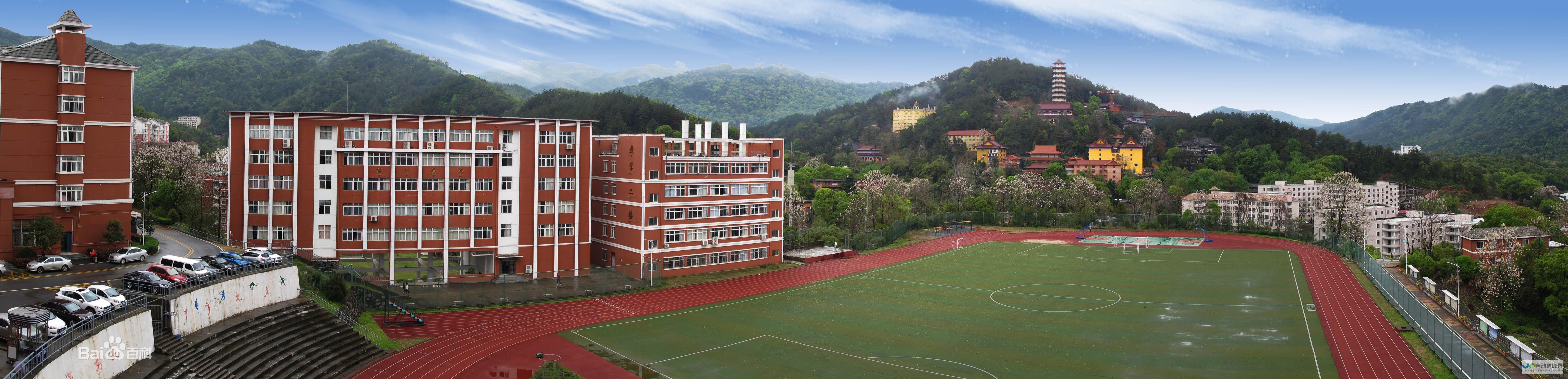 南昌专业网站建设公司：从设计到推广，全方位满足您企业网络营销需求