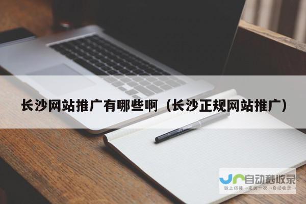 长沙网络推广策略：助力企业在互联网时代实现高效营销，抢占市场先机