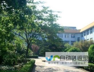扬中专业网站建设服务：从设计到推广，助力您的企业迈向成功